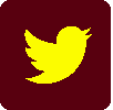 Twitter icon
